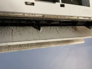 Ultra Clean13 Medium